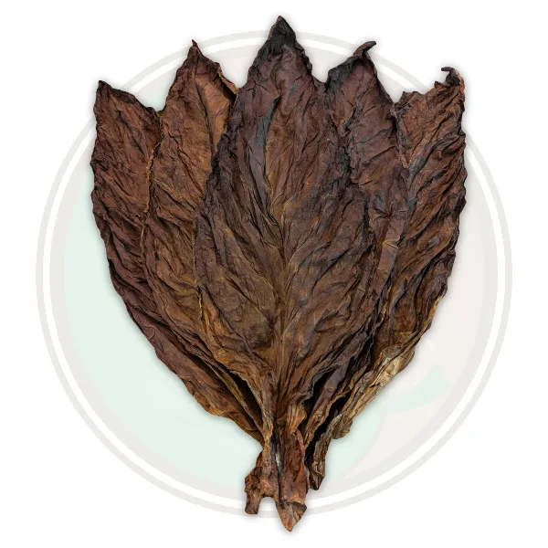Leaf Only Pennsylvania USA Fronto Cigar Wrapper Whole Leaf Tobacco for Roll Your Own
