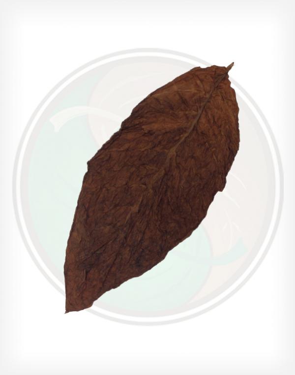 Maduro Tobacco Leaf Buy Whole Leaf Tobacco Maduro Cigar Wrappers Onlin