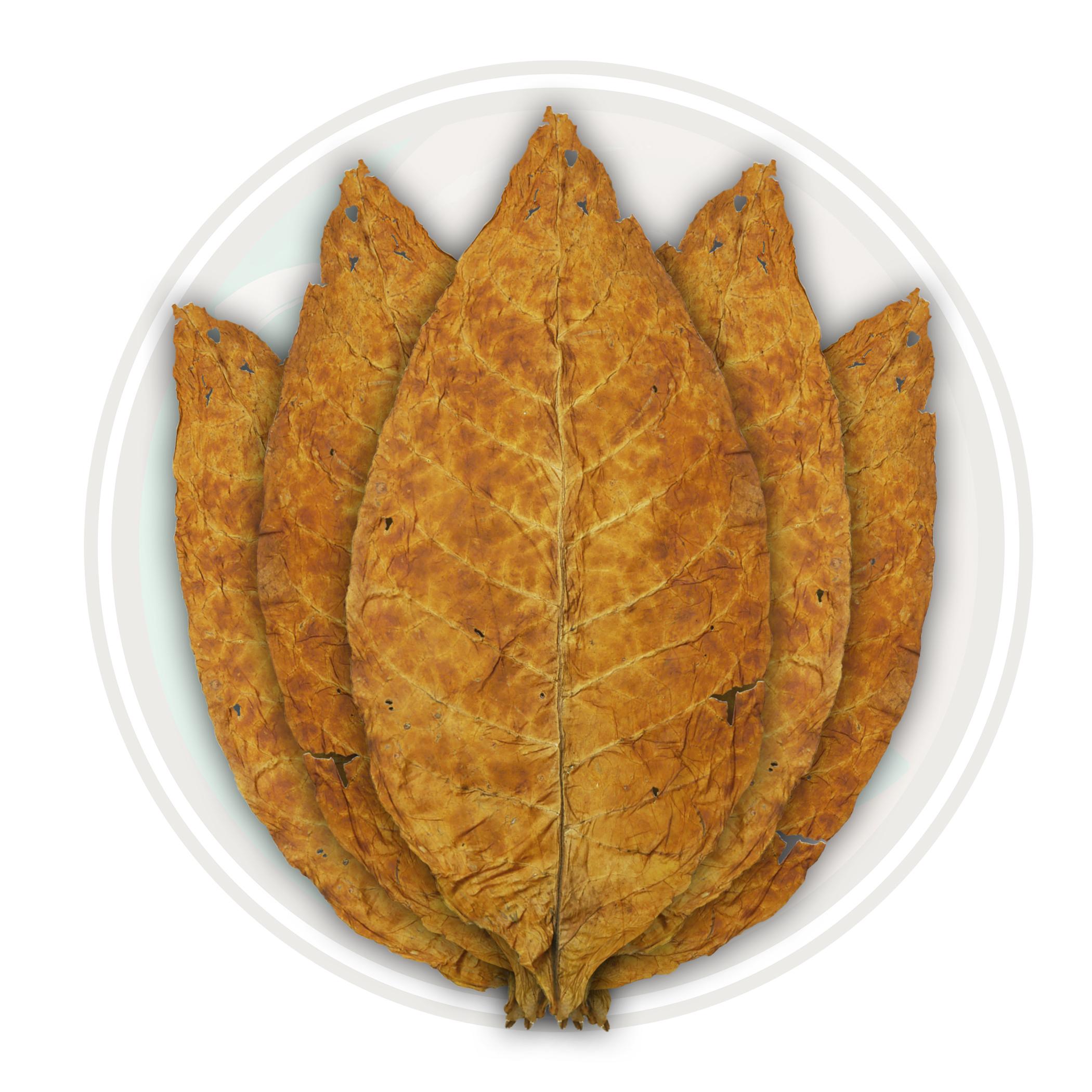 Brightleaf Virginia Flue Cured Tobacco Leaf - Smooth Whole Leaf