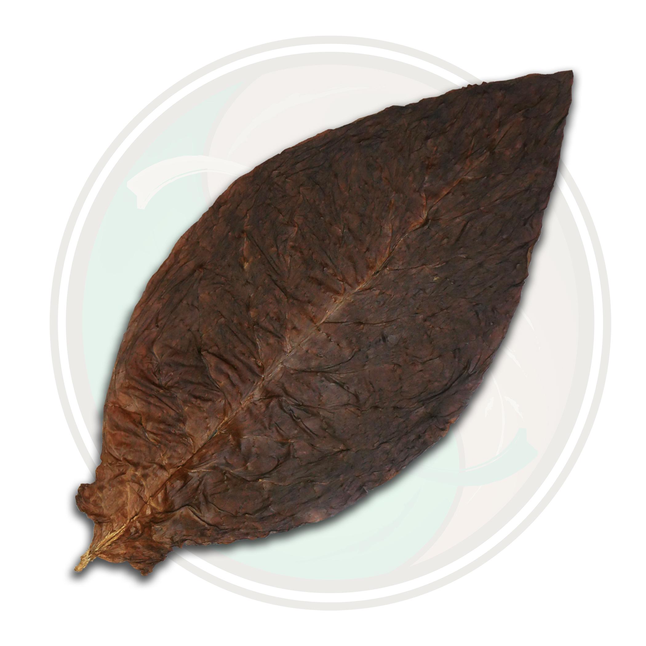 Connecticut Oscuro Cigar Wrapper Whole Leaf Tobacco Roll your own Cigar Leaf Only