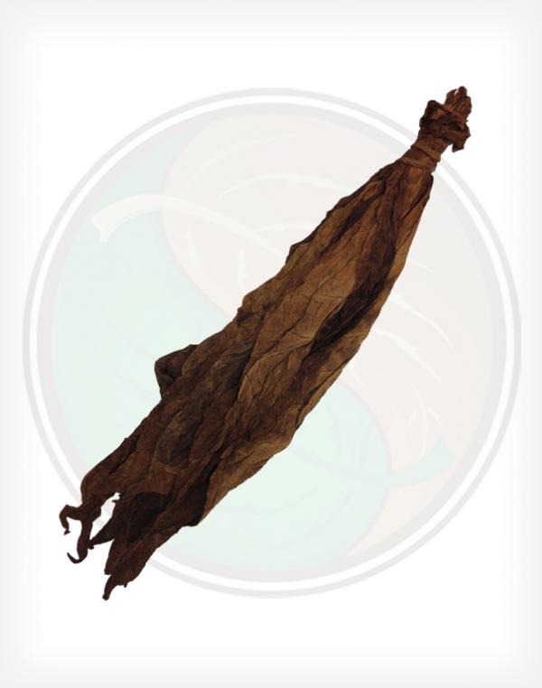 Light Kentucky Fire Cured Cigar Wrapper Fronto Whole Raw Leaf Tobacco