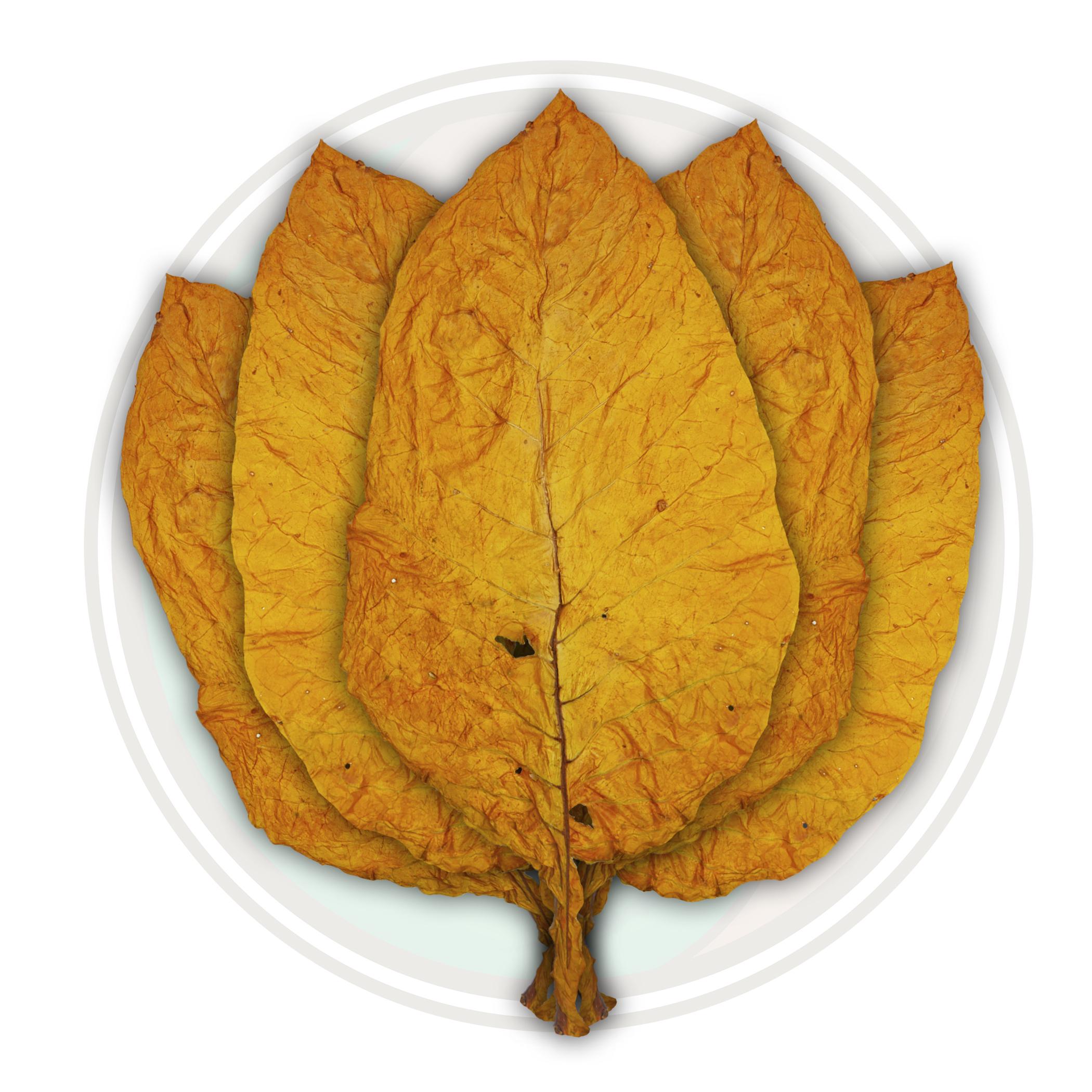 Canadian Virginia Flue Cured Tobacco, Hookah Tobacco, Pipe