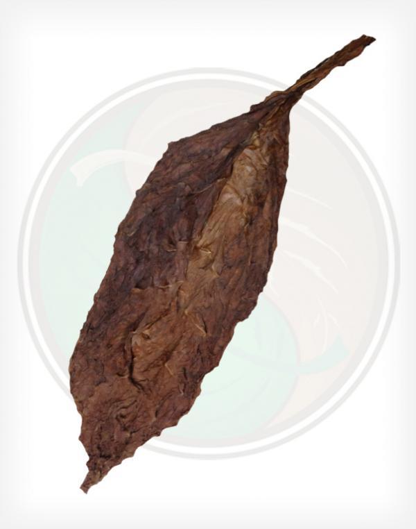 Fronto Leaf High Quality Dark Air Cured Red Rose Whole Leaf Tobacco