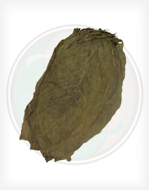 Indonesian Sumatra Cigar Filler Binder Whole Raw Leaf Tobacco Indonesian Sumatra Cigar Filler Binder Whole Raw Leaf Tobacco