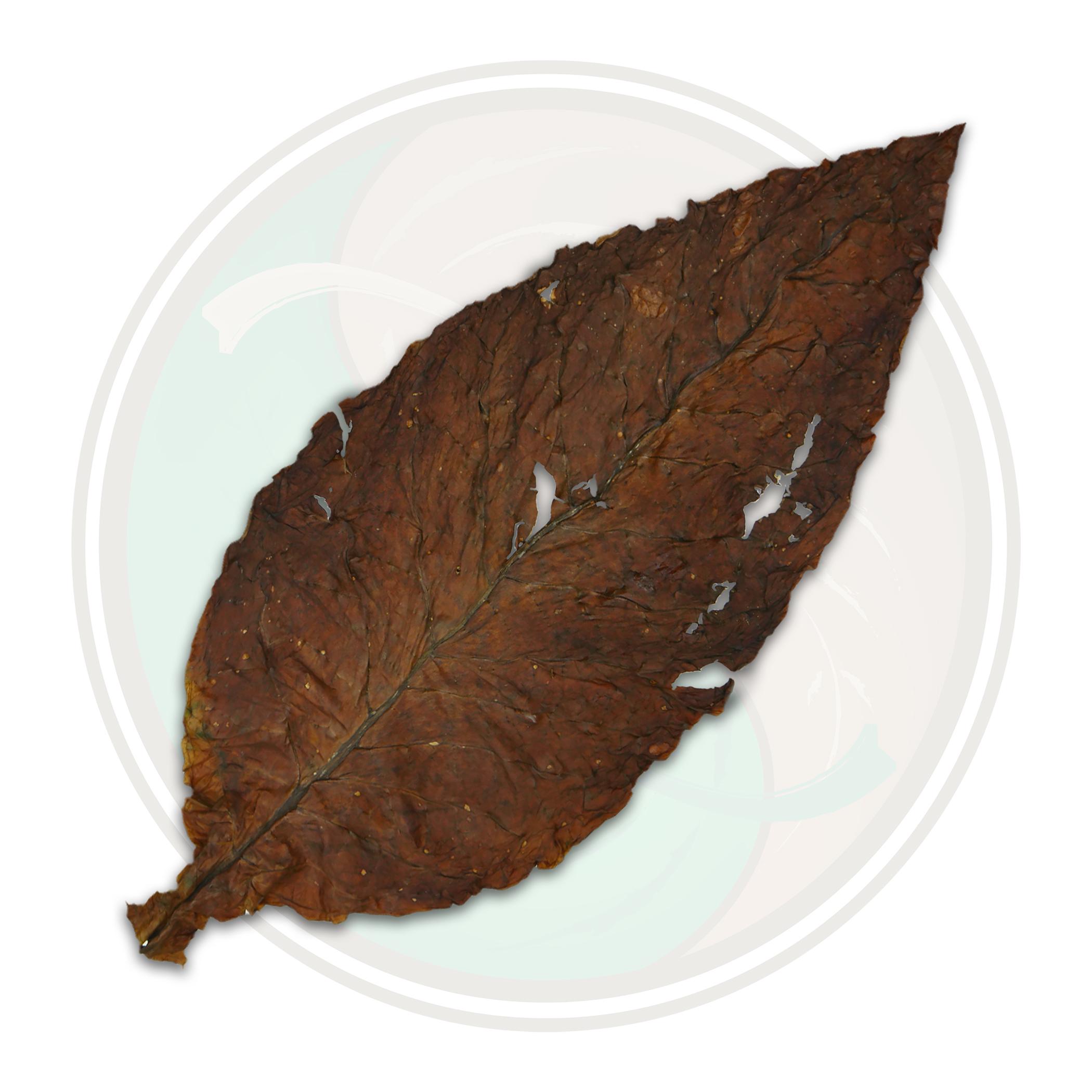 grabba leaf grabba leaf