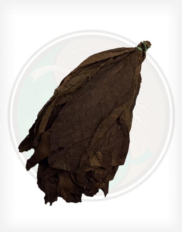 Mexican San Andres Wrapper Whole Raw Leaf Tobacco for Hand Rolled Cigars