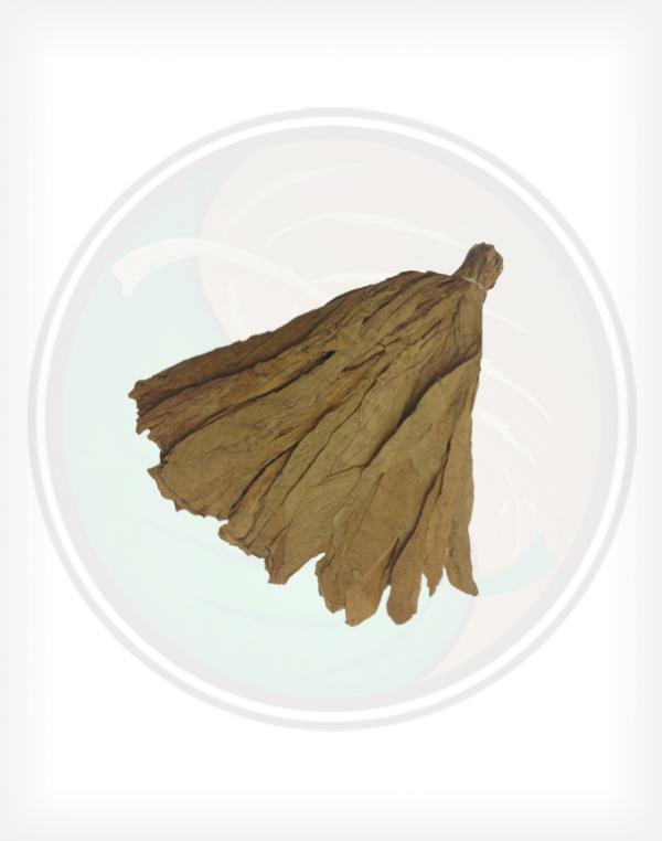Connecticut Premium Shade Cigar Wrapper Whole Raw Leaf Tobacco