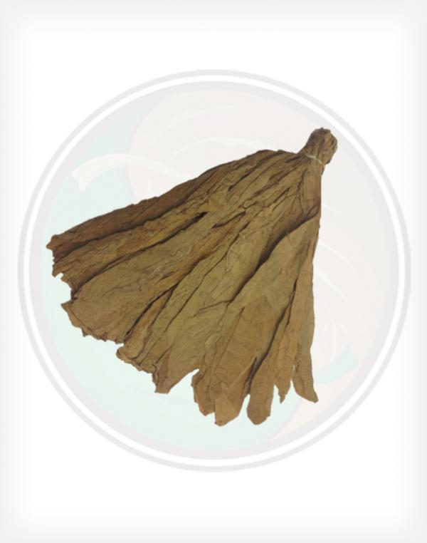 Connecticut Premium Shade Cigar Wrapper Whole Raw Leaf Tobacco