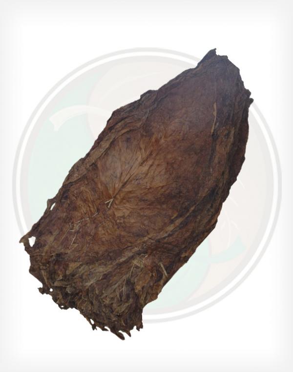 Aged Nicaraguan Viso Cigar Filler Whole Raw Leaf Tobacco Aged Nicaraguan Viso Cigar Filler Whole Raw Leaf Tobacco