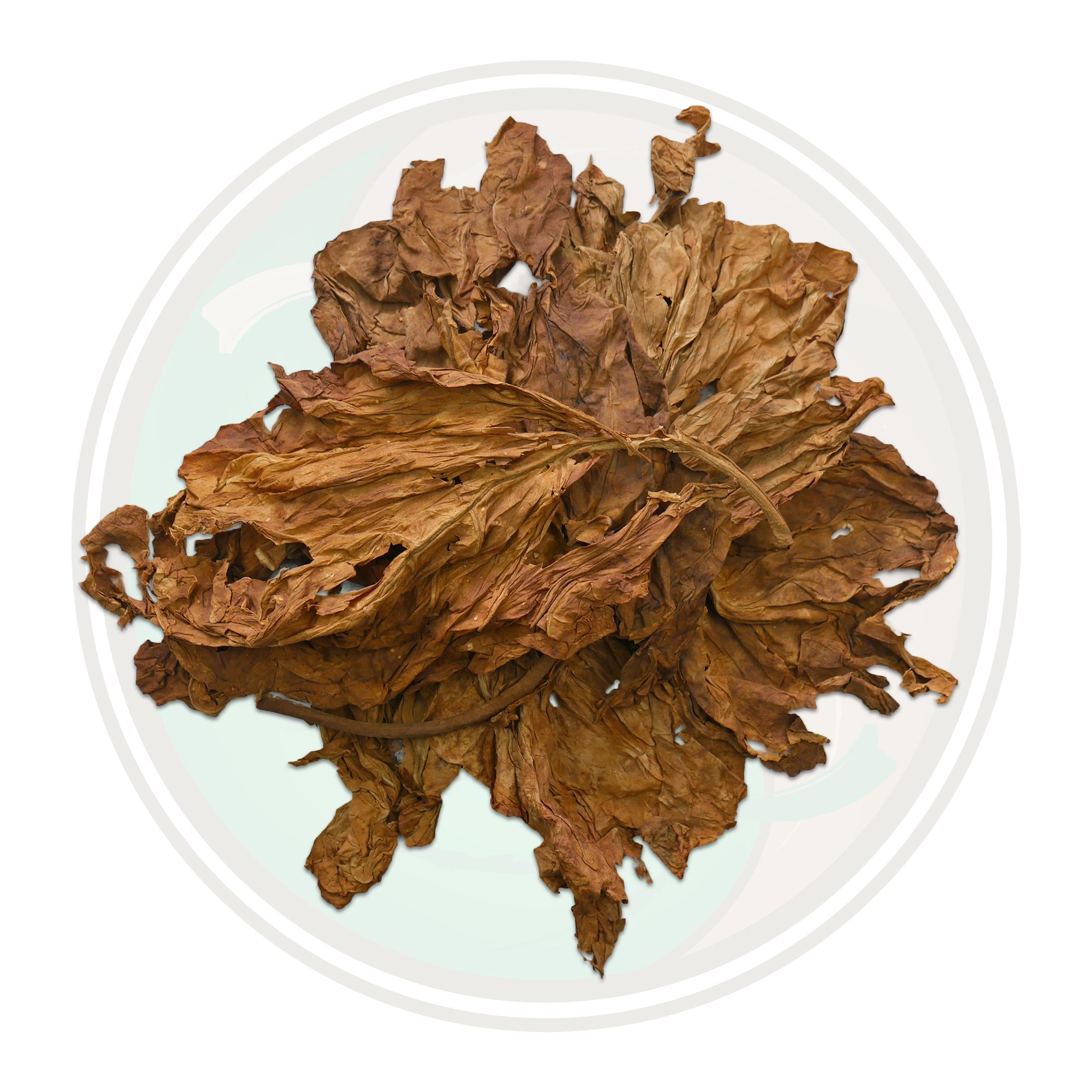Nicotiana Rustica Tobacco Roll Your Own Whole Leaf Tobacco Leaf Only