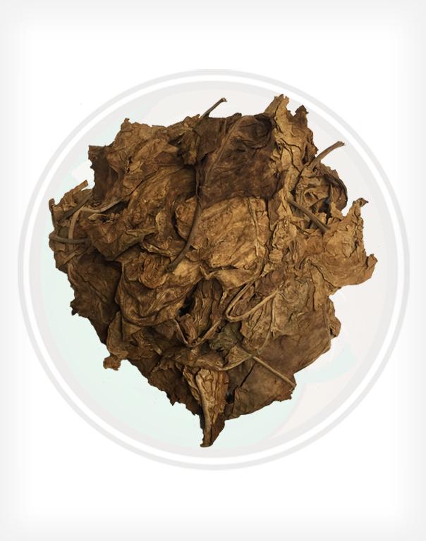 Can You Smoke Fronto Leaf By Itself Nicotiana Rustica Wild Tobacco Aztec Tobacco Ucuch Mapacho Thuoc Lao