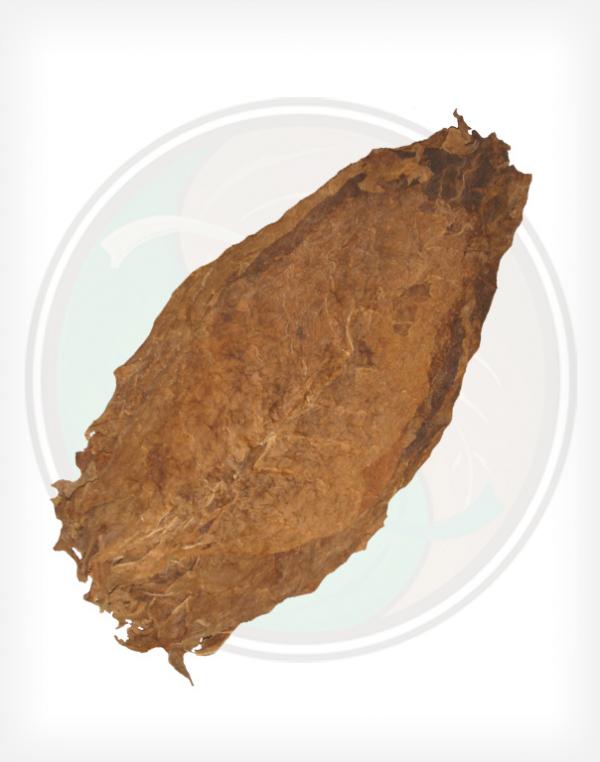 Aged Nicaraguan Seco Cigar Filler Whole Raw Leaf Tobacco Aged Nicaraguan Seco Cigar Filler Whole Raw Leaf Tobacco