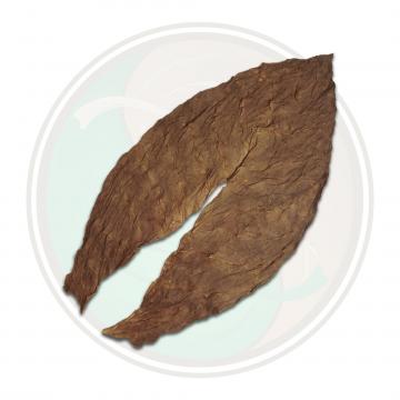 Dominican Seco Piloto Cubano Seco Cigar Filler Whole Tobacco Leaf