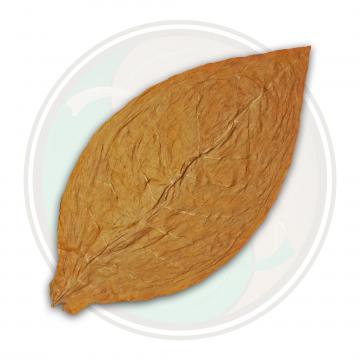 Connecticut Shade Cigar Wrapper Tobacco Leaf