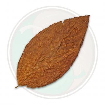 Burley Tobacco Leaf