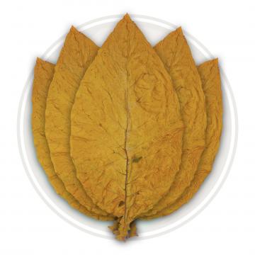 Canadian Virginia Flue Cured Tobacco Leaf