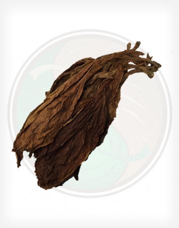 thumb390752burley.jpg