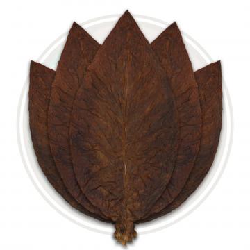 Dark Air Cured 