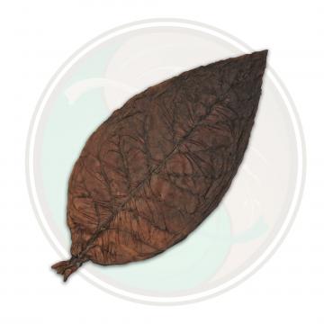 Brazilian Arapiraca Cigar Wrapper Whole Tobacco Leaf