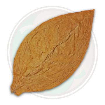 Connecticut Shade Cigar Wrapper Tobacco Leaf