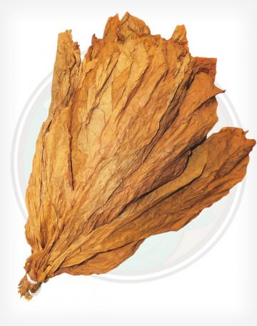 NICARAGUAN_SHADE_TOBACCO