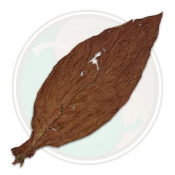 Pennsylvania Broadleaf Cigar Binder Whole Tobacco Leaf