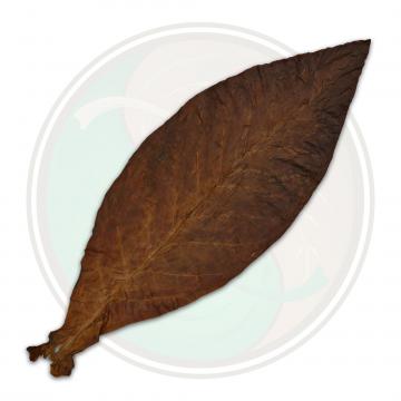 Pennsylvania Oscuro Cigar Wrapper Whole Tobacco Leaf