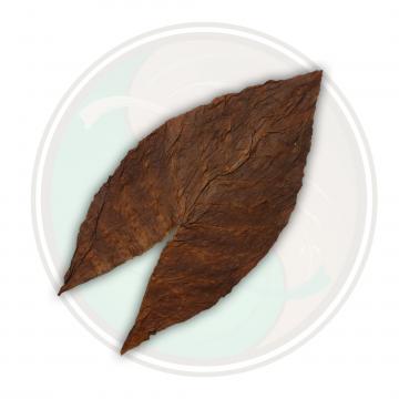 Dominican Seco Olor Cigar Filler Tobacco Leaf