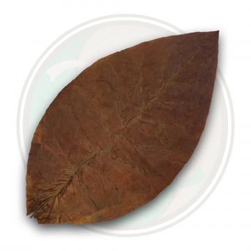 Ecuadorian Habano Ligero Cigar Wrapper Tobacco Leaf Only