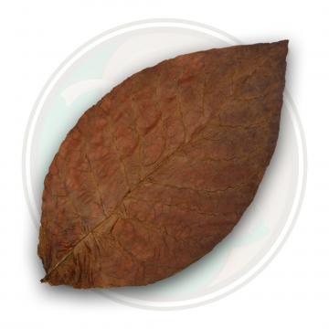 Ecuadorian Corojo Seco Cigar Wrapper Tobacco Leaf Only