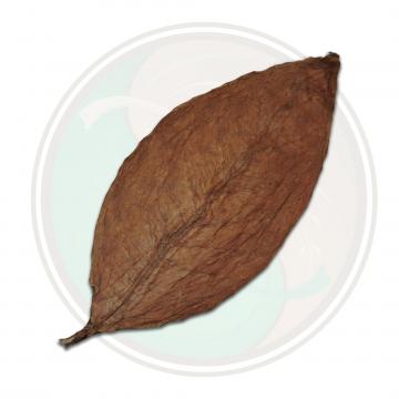 Honduran Conerican Viso Cigar Wrapper Whole Tobacco Leaf
