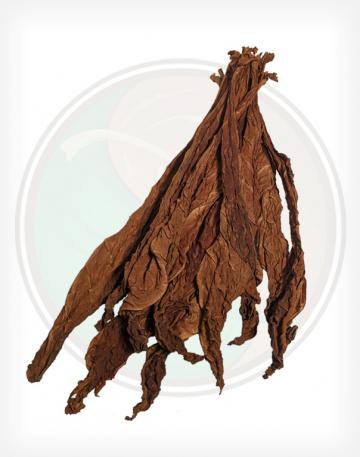 light-fire-cured-tobacco-leaf-P