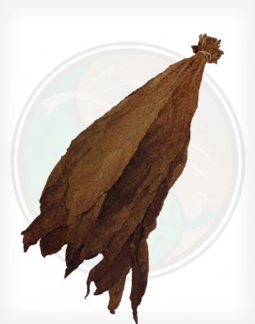 Pennsylvania grown Cigar Binder Whole Raw Leaf Tobacco 