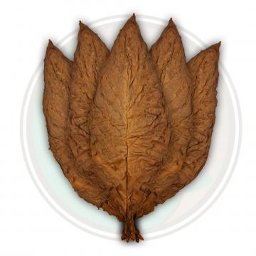 Can You Smoke Fronto Leaf By Itself Fronto Grabba Tobacco Leaf Tobacco Leaves By The Pound