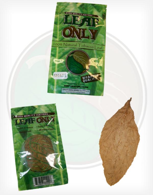 Leaf Only Brand One Single Whole Raw Tobacco Leaf Fronto Grabba