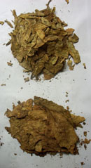 Oriental Tobacco Leaf, Oriental Tobacco Leaves