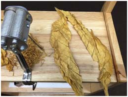 Processing Whole Leaf Tobacco for MYO Cigarettes