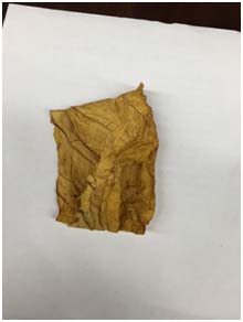 Processing Whole Leaf Tobacco for MYO Cigarettes
