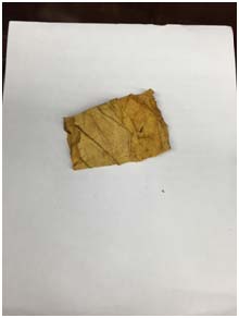 Processing Whole Leaf Tobacco for MYO Cigarettes