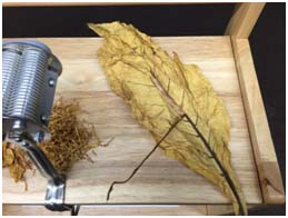 Processing Whole Leaf Tobacco for MYO Cigarettes