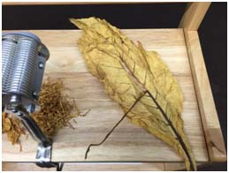 Processing Whole Leaf Tobacco for MYO Cigarettes