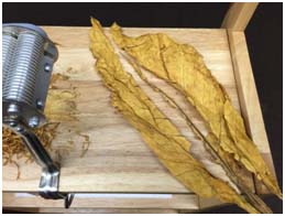 Processing Whole Leaf Tobacco for MYO Cigarettes