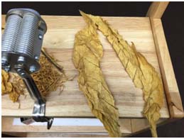 Processing Whole Leaf Tobacco for MYO Cigarettes