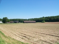 CT Broadleaf Farms