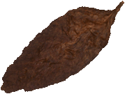 Wholesale Fronto Leaf, Buy Fronto Leaf, Bulk Fronto Leaf