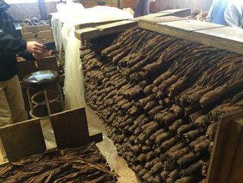 Tobacco Processing and Storage Services